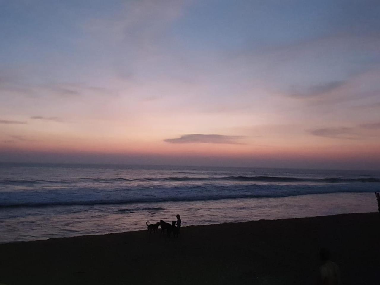 Mango Villa Hikkaduwa Esterno foto