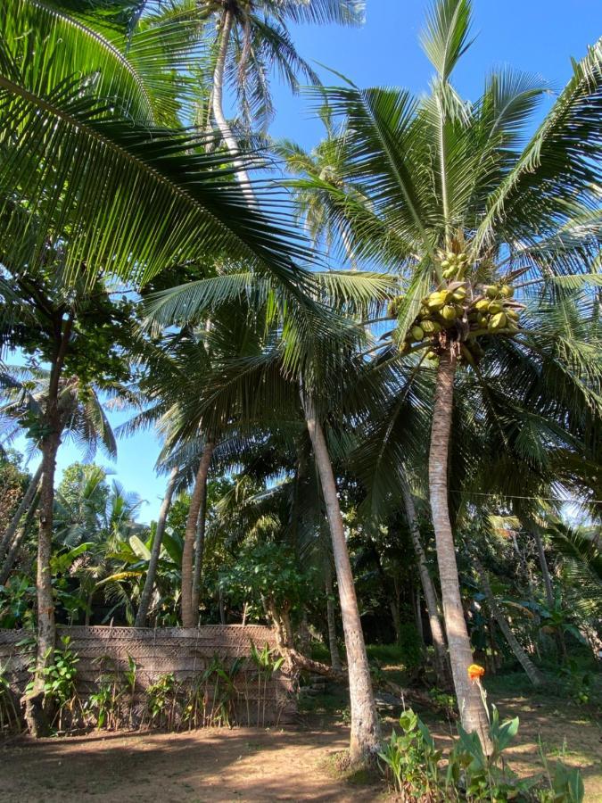 Mango Villa Hikkaduwa Esterno foto